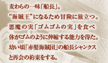 麦わらの一味「船長」。“海賊王”になるため冒険に旅立つ。悪魔の実「ゴムゴムの実」を食べ体がゴムのように伸縮する能力を得た。幼い頃「赤髪海賊団」の船長シャンクスと再会の約束をする。