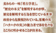 麦わらの一味「考古学者」。“歴史の本文”を解明するのが夢。歴史を解明する行為を禁じている世界政府から危険視されている。悪魔の実「ハナハナの実」の能力者で体を色々なところに咲かせることが出来る。