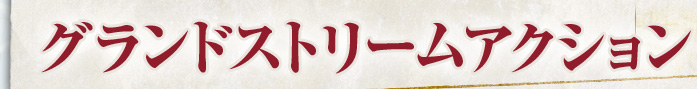 グランドヅトリームアクション